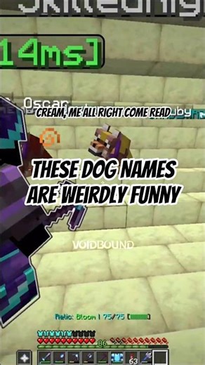 These Minecraft Dog Names