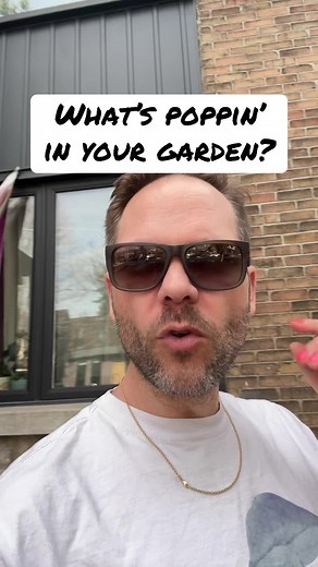 Identifying Invasive Plants in Your Garden