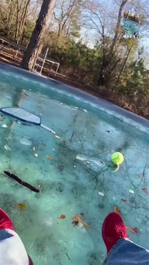 #pool #poolcover #PoolSeason #SwimmingPool #VlogDailyLife