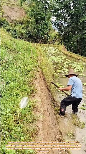 The Never-Ending Cycle of Farming: From Harvest to Weeding