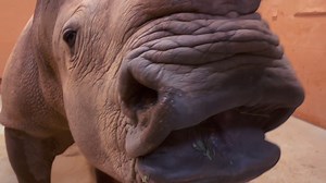 349K views · 2.4K reactions | Speaking of training behaviors with a...