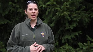 11K views · 88 reactions | DEER KILLING DISEASE EXPLAINED: Idaho Fish and Game wildlife staff continue to monitor the extent of the disease causing deer to die across our region. Multiple samples taken from dead deer across the Clearwater Region have come back positive for the Epizootic Hemorrhagic Disease virus. Dr. Nicole Walrath of the Idaho Department of Fish and Game explains Epizootic Hemorrhagic Disease in this video. | Big Country News Connection | Facebook