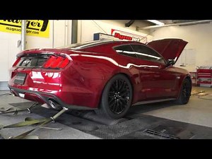 Roush Supercharged 2015 Mustang GT 5.0 Dyno Run with Numbers