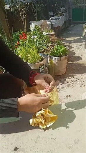 how to make rectangular grow bag at home old rice bags reuse ideas