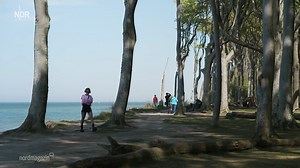 Sommerlektüre: "Windstärke 17" von Caroline Wahl - Es ist der zweite Roman der in Rostock lebenden Caroline Wahl. Sie ist so erfolgreich, dass sie inzwischen vom Schreiben leben kann. | NDR Mecklenburg-Vorpommern