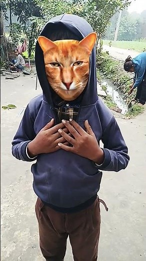 Dekho mere😂🤣🤣😂🤣 pass Sher hai #funny #comedy #animals #cute #prank #short #newमारवाड़ीcomedy video