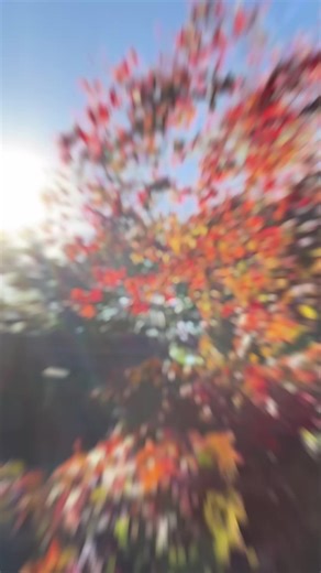 book your stay with beach house pods today. link in bio#sunsets #beachvibes #holidays #glamping #hottub