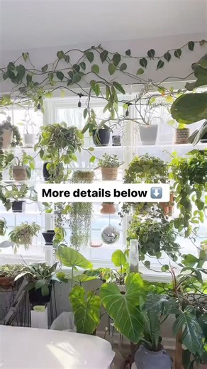 20K views · 315 reactions | ‼️ Fertilizing doesn’t have to be...