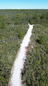 Did you know Florida’s scrub habitat was once beachfront property?🏝️ About 2 million years ago, when sea levels were much higher, these ridges were just small islands. Over time, shifting sands formed high and dry dunes, creating the unique scrub habitat seen today. Now this sandy landscape is home to a variety of rare plants and animals specially adapted to its dry, sun-soaked conditions ☀️ 📸:@floridamanphoto | Florida Wildlife Corridor Foundation