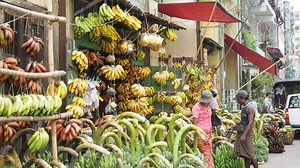 This new travel app shows you how to explore Yangon like a local