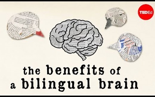 【Ted-ED】双语学习对大脑的益处 The Benefits Of A Bilingual Brain