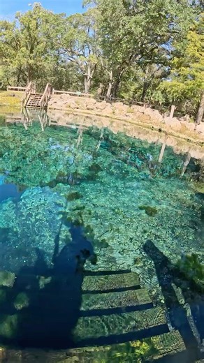 So clear you can see the stairs on the other side #clearview #florida #springs #paradise #snorkel