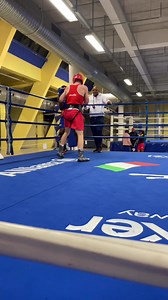 8.5K views · 107 reactions | Day Two of high octane test matches at the First Olympic World Qualifier training camp in Assisi - Team Ireland sparred Colombia, GB, Brazil, Italy, Serbia and Switzerland.15 days to the first bell in Milan. #iaba #boxingireland #irishboxing #boxing #boxer #roadtoparis2024 | Irish Athletic Boxing Association | Facebook
