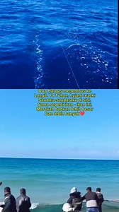 Disaat tentra is"ra el. Sibuk tawan kapal sumud flotilla, Rakyat Ga🍉za justeru memanfaatkan peluang untuk Ke laut menangkap ikan.. Kerana pada saat itu, tentra is"ra el tiada di laut, untuk rosakkan bot mereka dan menahan mereka. #sumudflotilla | Kaila Putri Akila