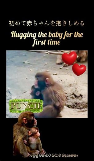 📣🌎😵❤️🥰First hug | පළමු වැළඳ ගැනීම | 初めてのハグ