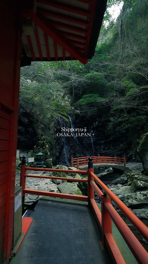 美しすぎる寺 七宝瀧寺の魅力