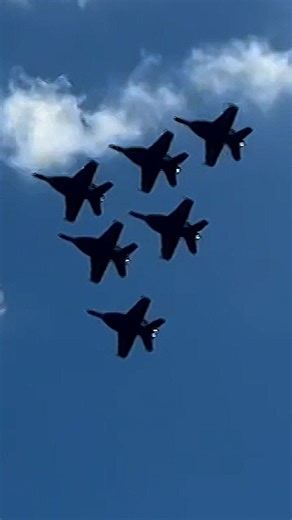 US Navy's Blue Angels fly over DC