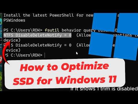 How to Optimize SSD for Windows 11 (TRIM & Performance)