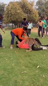 Silent Morning — Leopard Strike Soft daylight, steady breathing, and quiet movement vanish instantly when a leopard launches from the garden edge, turning a routine workout into survival. #leopardincident #realtimeattack #jungleshock #publicpanic #shorts #india #wildlifealert | Kiran Wakade