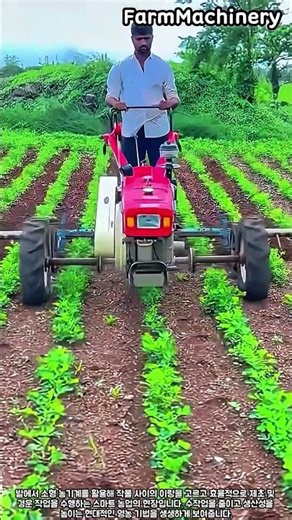 농기계 부착 장치를 활용한 효율적인 밭작물 관리 방법과 농업 현장 작업 과정 안내 #worker #process #agrifuture #cultivation #system