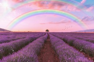 Secrets of the Skies: Double Rainbow Meaning, Symbolism, and Hidden Messages