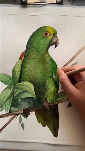 This is how professionals paint parrots #watercolortutorial #painting #technique