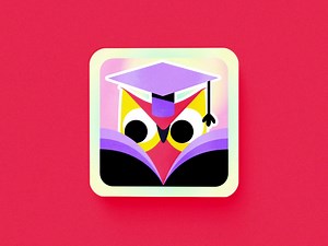 Unlocking Engagement: The Gamification Journey of Our Platform