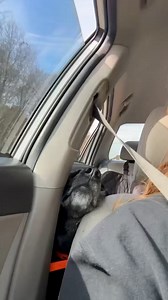 Watauga Humane Society on Reels