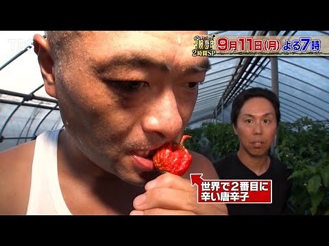 『冒険少年』9/11(月) あばれる君…超激辛唐辛子丸かじり絶叫！山ごもりで絶品メキシコ料理作り!!【TBS】