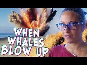 Sometimes Whales Explode... A Marine Biologist Explains Why