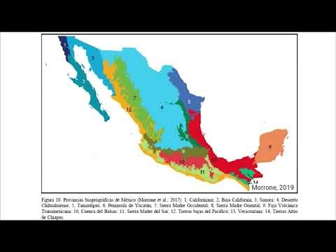 Regiones biogeográficas de México: Región Neotropical