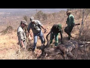 Ben Rumbaugh - Kudu Hunt 2014