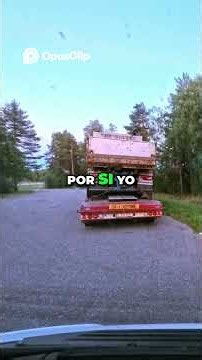 ¡Alce salvaje en mi ruta! ¿Lo grabó la cámara