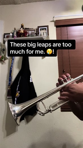 The Trumpet is just too difficult. I hate how hard I had to lock in. 😡! #fyp #trumpet #trumpetplayer #classicalmusic #classicalmusicians #carnivalofvenice
