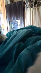 Laura Flores on Reels