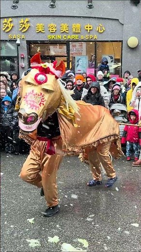 Chinese Lunar New Year Lion Dance Dancing Fire Horse 2026 múa lân Tết 舞獅 舞狮 tarian singa barongsai