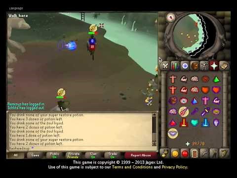 07 Old School Runescape Dagganoth Kings Duo Hybrid (DKS) Guide: Rex and Prime