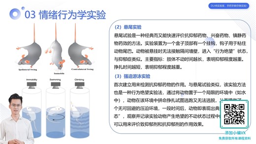 动物学习认知功能的常用行为学实验方法汇总