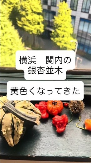 10月は実物も楽しいフラワーアレンジメント〜横浜のフラワーアレンジメント教室 #flowers #秋のフラワーアレンジメント #横浜のフラワーアレンジメント