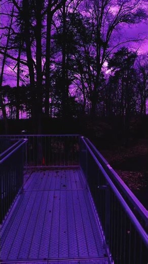 Spooky Nature Walk at Night 🌲 Dark Ambient ASMR | Creepy Forest Sounds & Liminal Outdoor Vibes