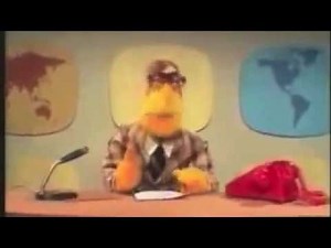 A Muppet News Flash
