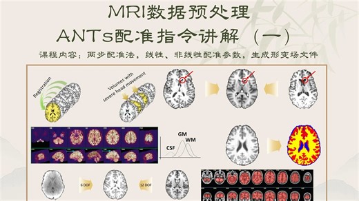 MRI数据预处理--ANTs配准指令讲解（一）