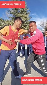 165K views · 10K reactions | #Master_Lóng #Dragon_Warrior #JKD_master_lóng #praying_mantis #whatsapp_01277770950 #masterlongsystem #Mohamed_Dragon | Mohamed Dragon | Facebook