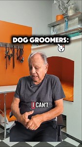 1.6K views · 3.5K reactions | When Groomers interview for any other job  . . @loyaltypetproducts #loyaltypetproducts #doggroomers #doggrooming #petstylist #humor #satire #awardwinning #hairresistantapparel #monthlyscissorclub #monthlygroomingbox | Loyalty Pet Products | Facebook