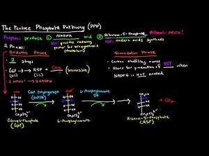 Pentose Phosphate Pathway (Part 1 of 5) - Overview and Oxidative Phase
