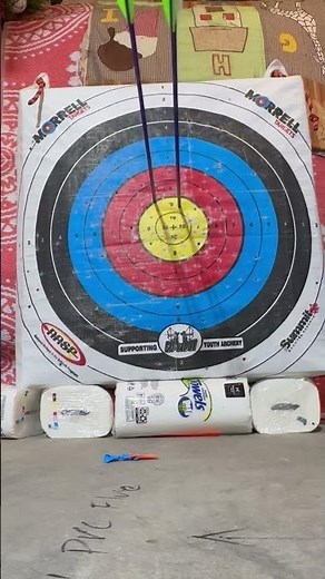 Target Practice in the Basement #archery #bow #arrow #targetpractice #nasp #genesis