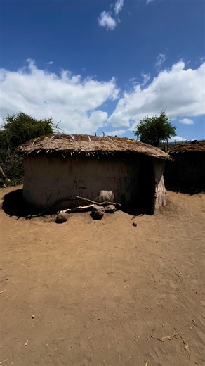 5.9K views · 65 reactions | All these huts belong to one Maasai tribe man and his multiple wives and children. They practise polygamy. You should pay 20 cows to girls family to get a wife. If you have more cows then you can marry more Maasai girls. But each wife has a separate hut which is built by herself. More info in comments. | Kify Hospital | Facebook