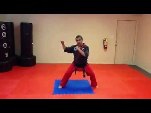 Step-Behind Side Kick Tutorial