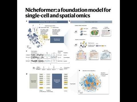 257-Nicheformer: for Single-Cell and Spatial Omics