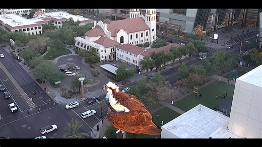 Meet the new star of 12News at 6